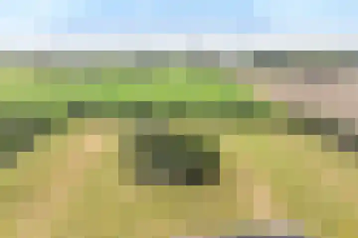 Pothuizerweg 29 Schalkwijk thumbnail 7