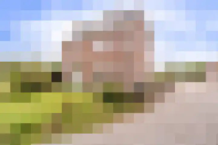 Pothuizerweg 29 Schalkwijk thumbnail 8