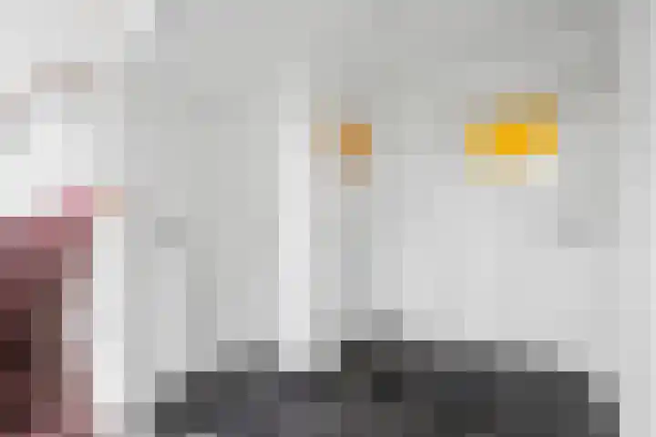 Pothuizerweg 29 Schalkwijk thumbnail 9