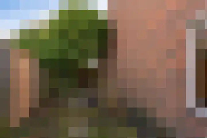 Pothúswyk 49 Workum thumbnail 29