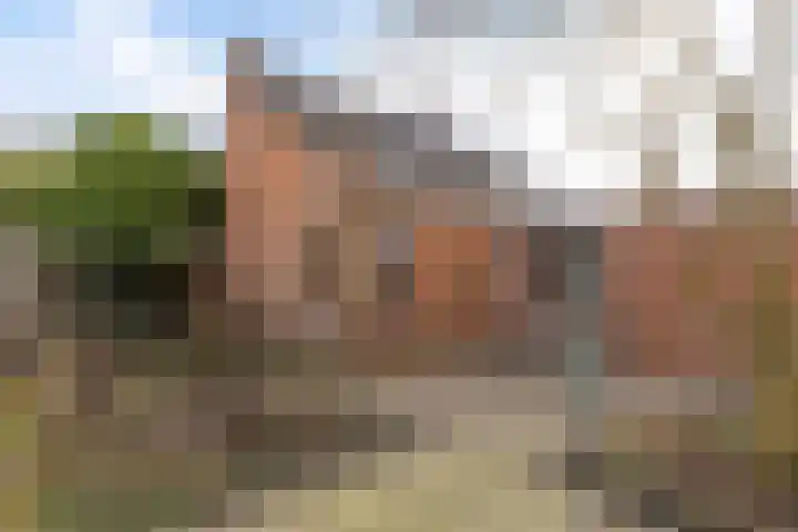 Pothúswyk 49 Workum thumbnail 31