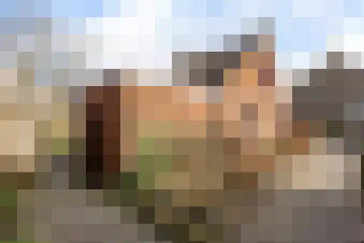 Pothúswyk 49 Workum thumbnail 32