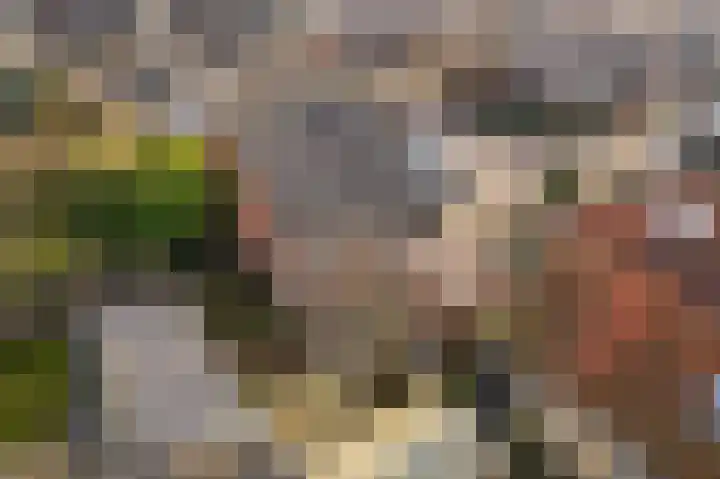 Pothúswyk 49 Workum thumbnail 36