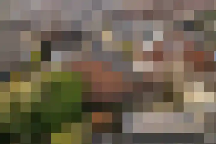 Pothúswyk 49 Workum thumbnail 37