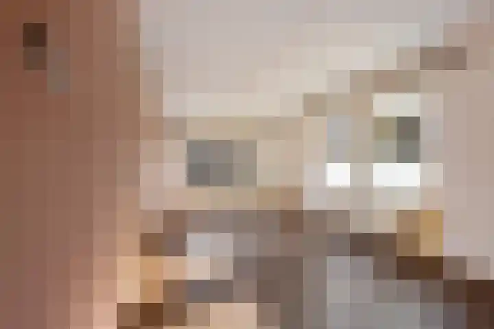 Pothúswyk 49 Workum thumbnail 4