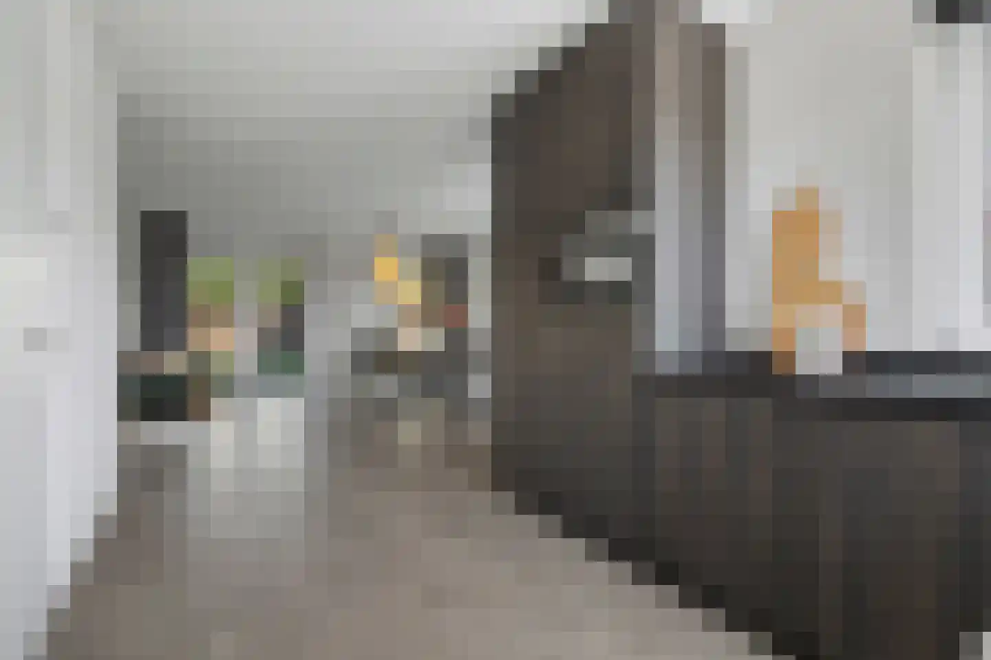 Poting 15 Reusel thumbnail 20