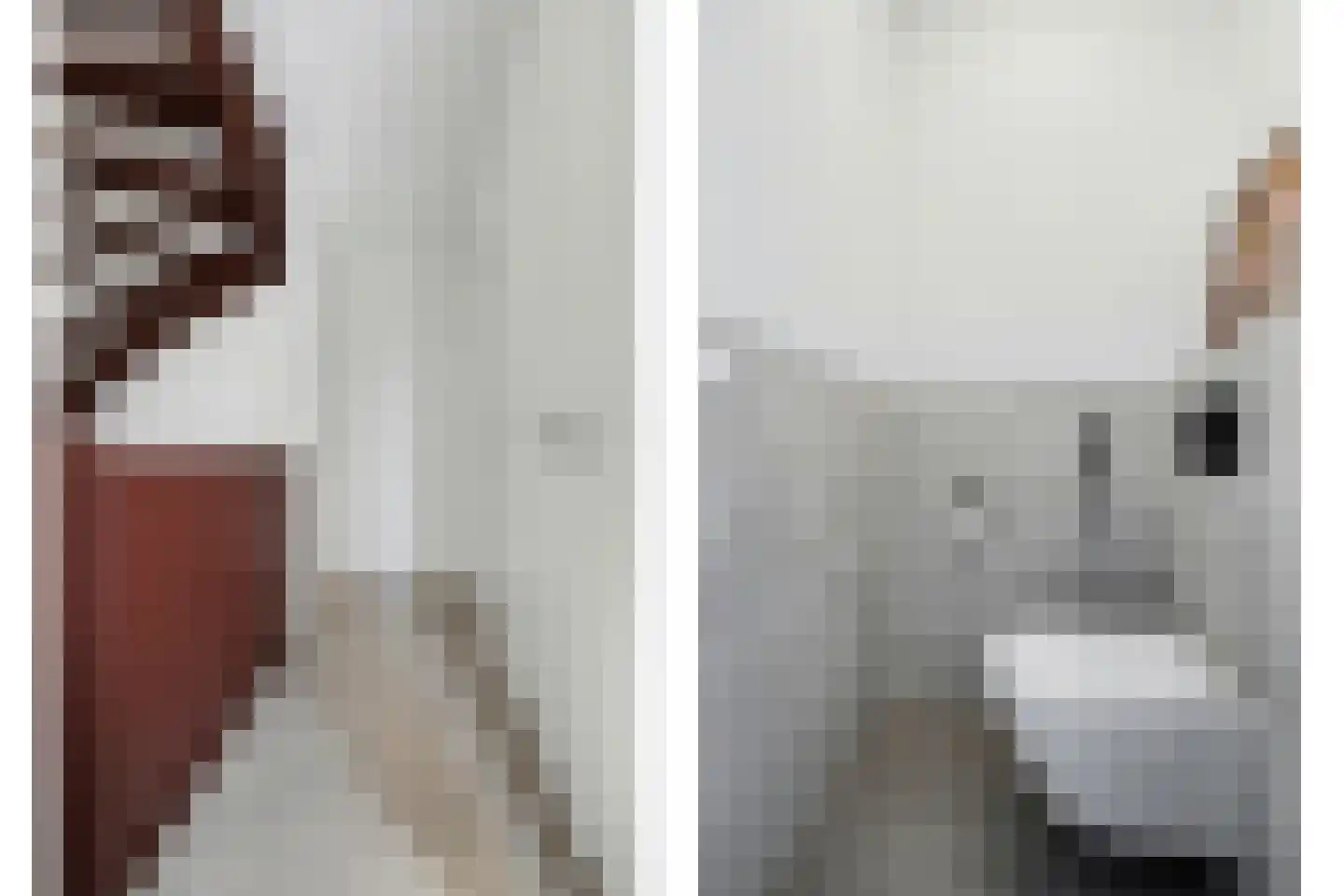 Poting 15 Reusel thumbnail 22