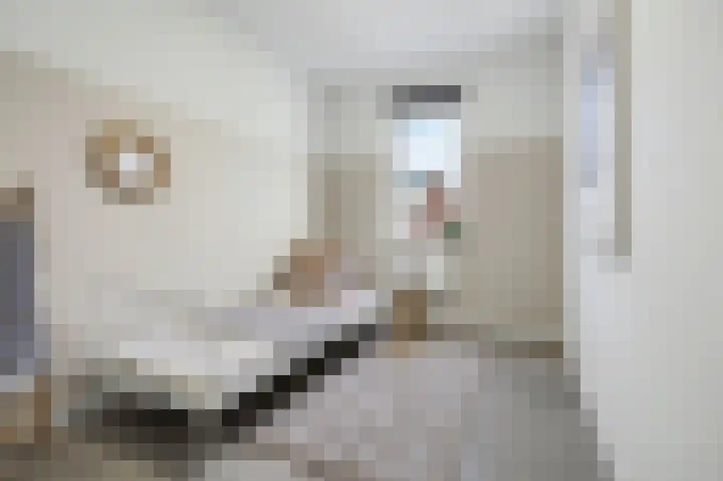Poting 15 Reusel thumbnail 26