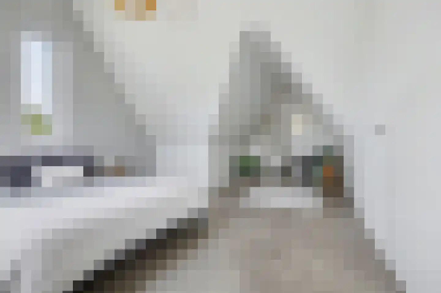 Poting 15 Reusel thumbnail 35