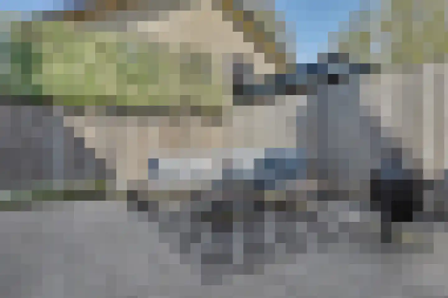 Poting 15 Reusel thumbnail 38