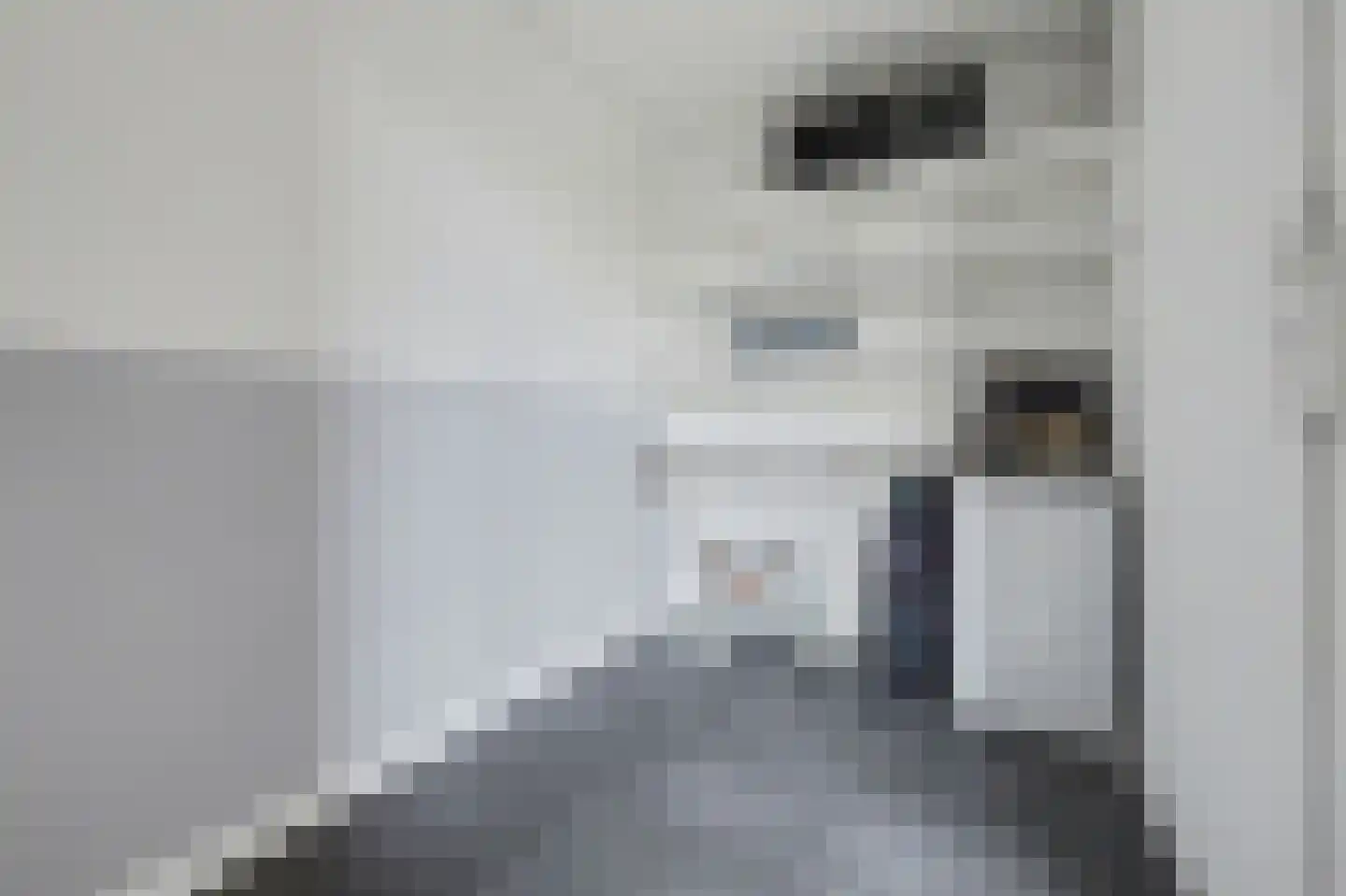Poting 15 Reusel thumbnail 39
