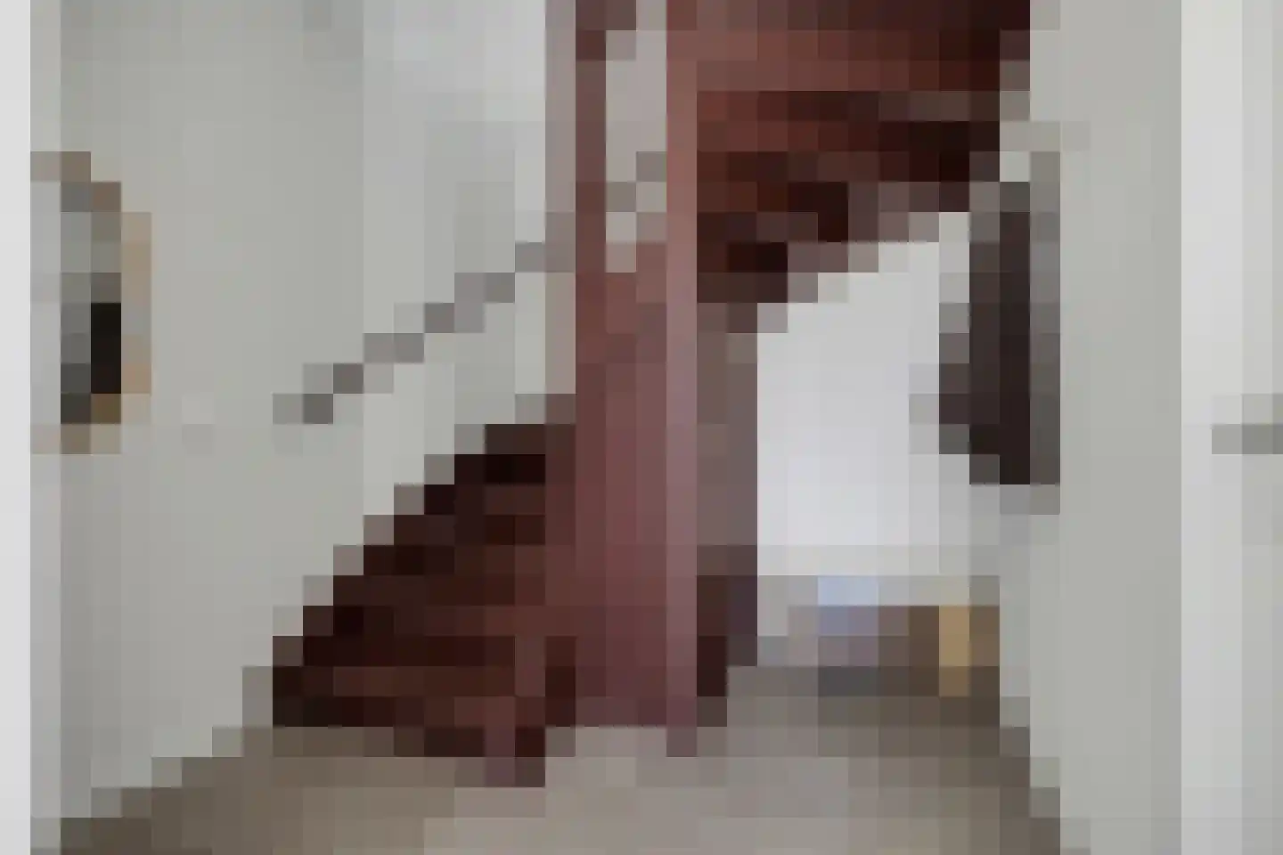 Poting 15 Reusel thumbnail 6