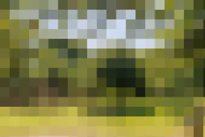 Potkuilen 7 Milsbeek thumbnail 10