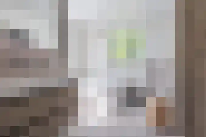 Potkuilen 7 Milsbeek thumbnail 15
