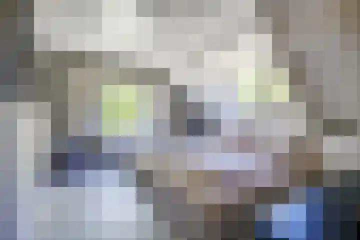 Potkuilen 7 Milsbeek thumbnail 26