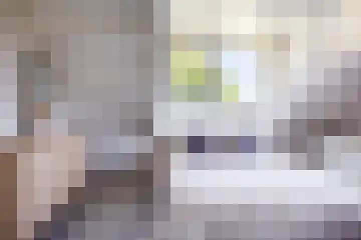 Potkuilen 7 Milsbeek thumbnail 27