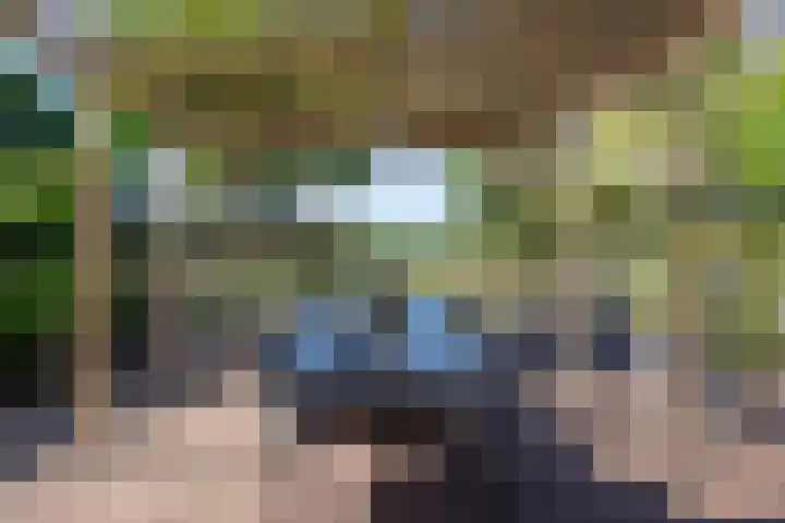Potkuilen 7 Milsbeek thumbnail 54
