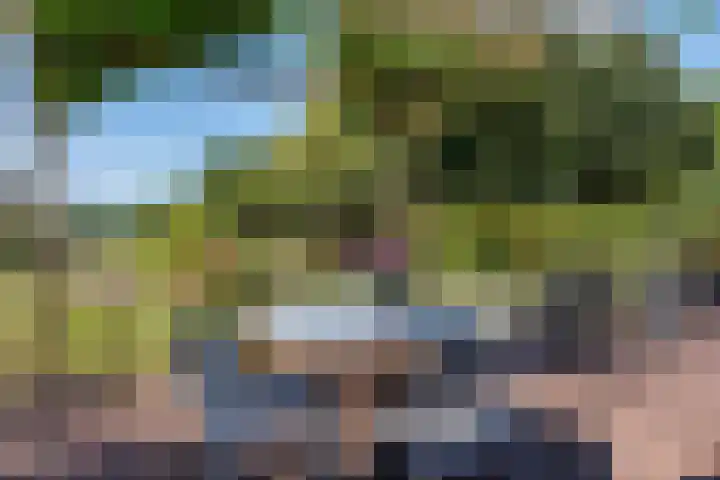 Potkuilen 7 Milsbeek thumbnail 55