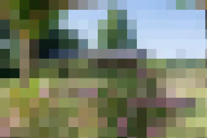 Potkuilen 7 Milsbeek thumbnail 56