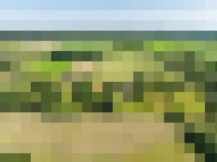 Potkuilen 7 Milsbeek thumbnail 60