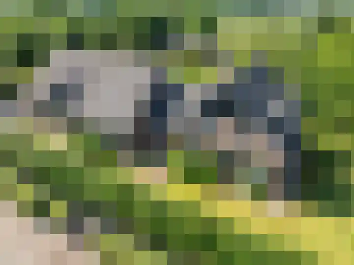 Potkuilen 7 Milsbeek thumbnail 61