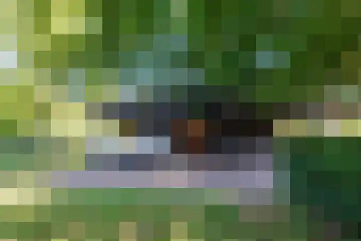 Potkuilen 7 Milsbeek thumbnail 64