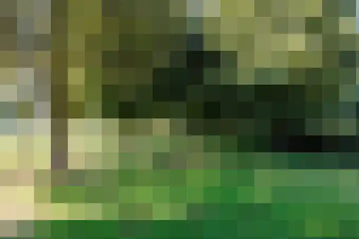 Potkuilen 7 Milsbeek thumbnail 67