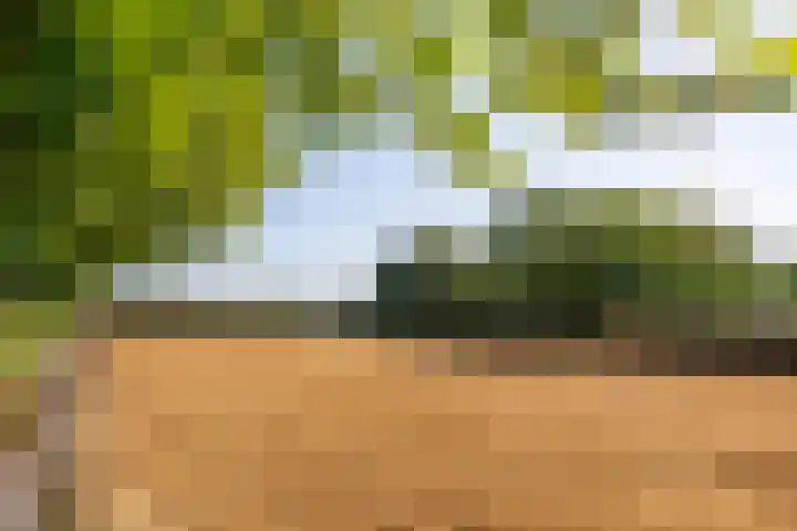 Potkuilen 7 Milsbeek thumbnail 68