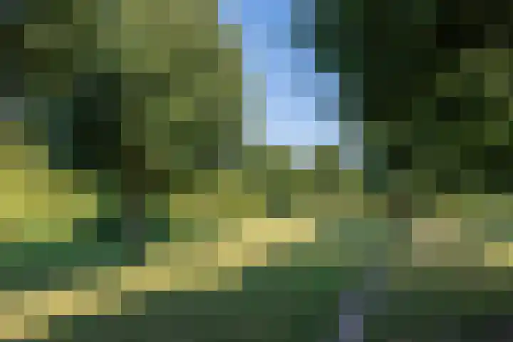 Potkuilen 7 Milsbeek thumbnail 69