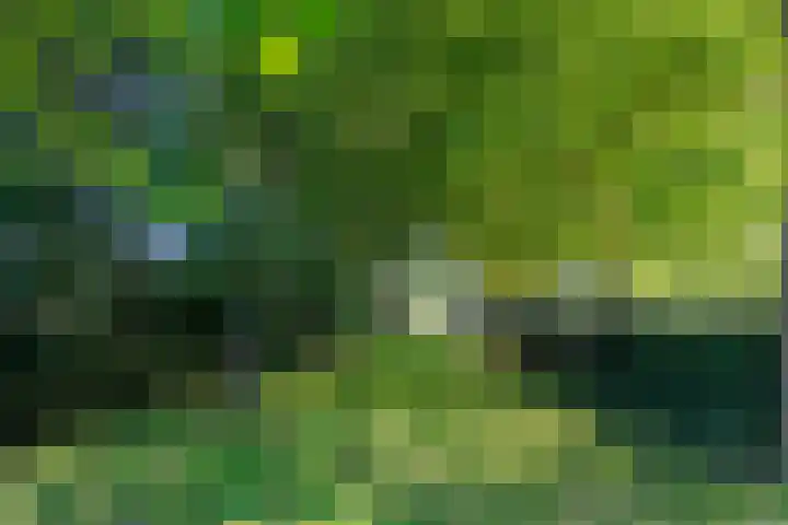 Potkuilen 7 Milsbeek thumbnail 70