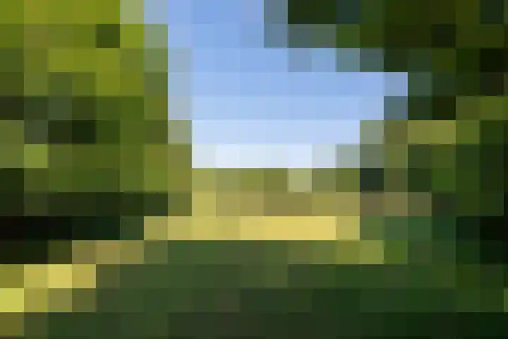 Potkuilen 7 Milsbeek thumbnail 71