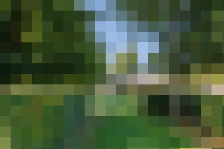 Potkuilen 7 Milsbeek thumbnail 72