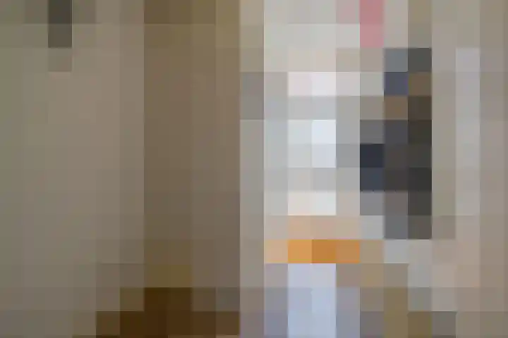 Potkuilenstraat 24 Tegelen thumbnail 12