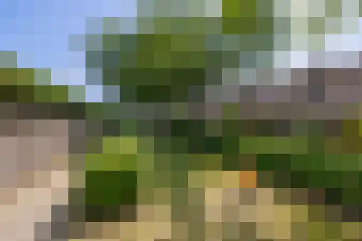 Potkuilenstraat 24 Tegelen thumbnail 23