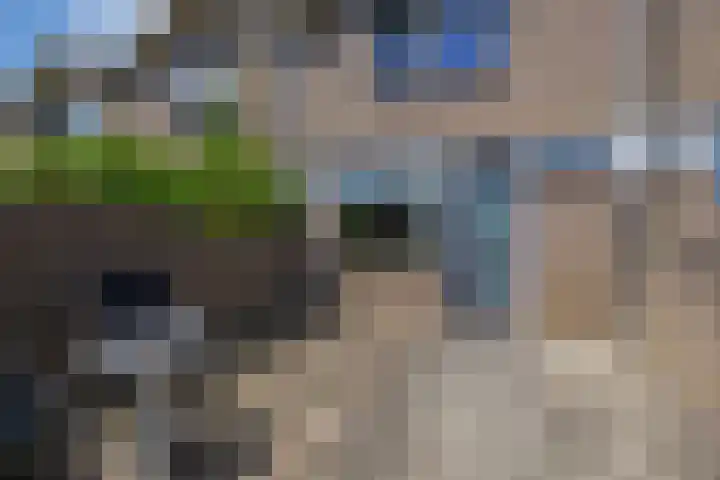 Potkuilenstraat 24 Tegelen thumbnail 4