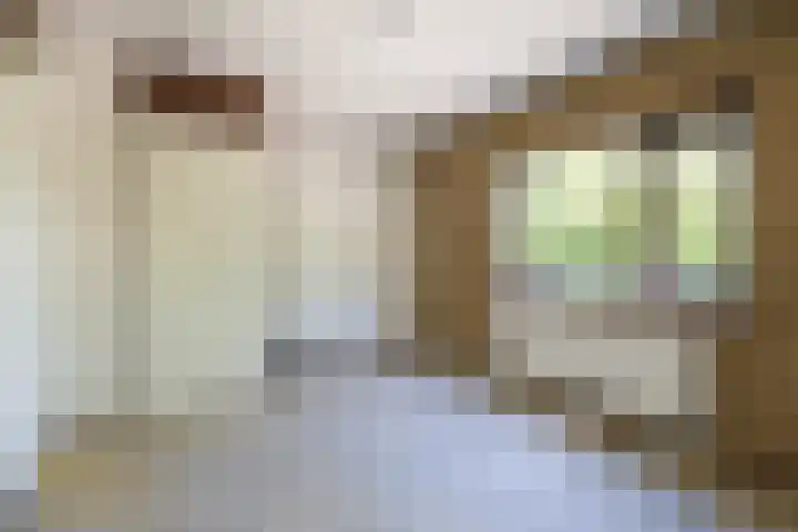 Potkuilenstraat 53 Tegelen thumbnail 13