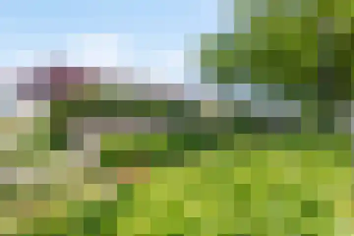 Potkuilenstraat 53 Tegelen thumbnail 22