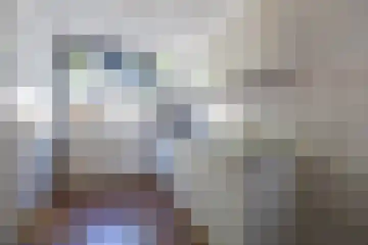 Potkuilenstraat 53 Tegelen thumbnail 6