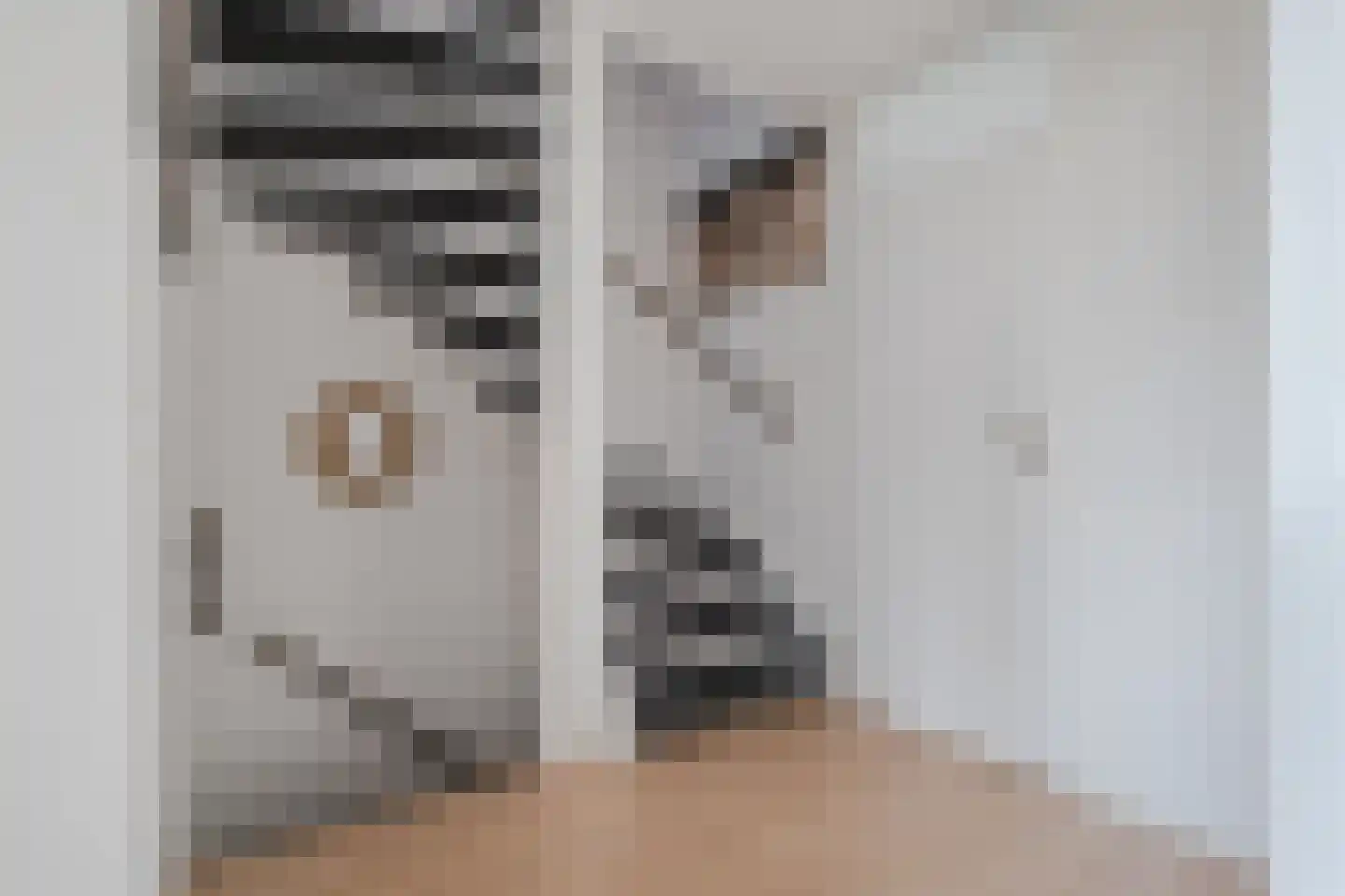 Potmaat 8 Schoonebeek thumbnail 20