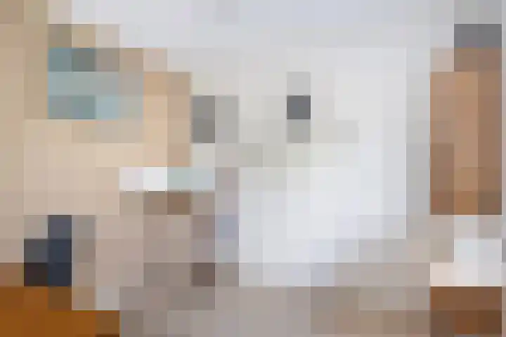 Potmarge 16 Zwolle thumbnail 27