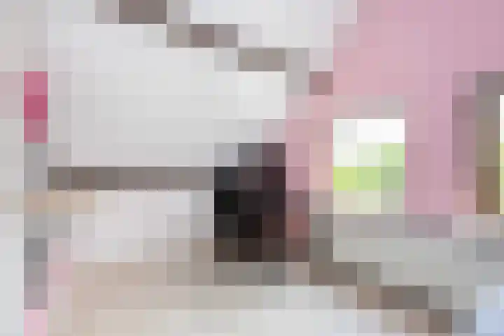 Potmarge 16 Zwolle thumbnail 32