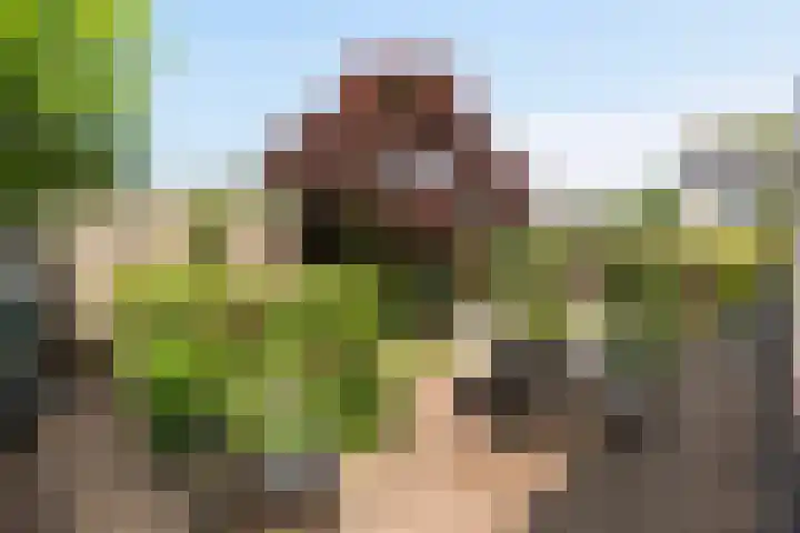 Potmarge 16 Zwolle thumbnail 39