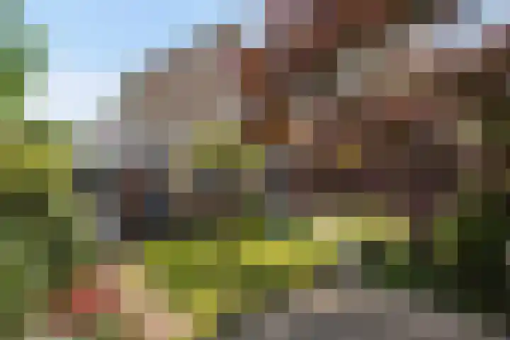 Potmarge 16 Zwolle thumbnail 4