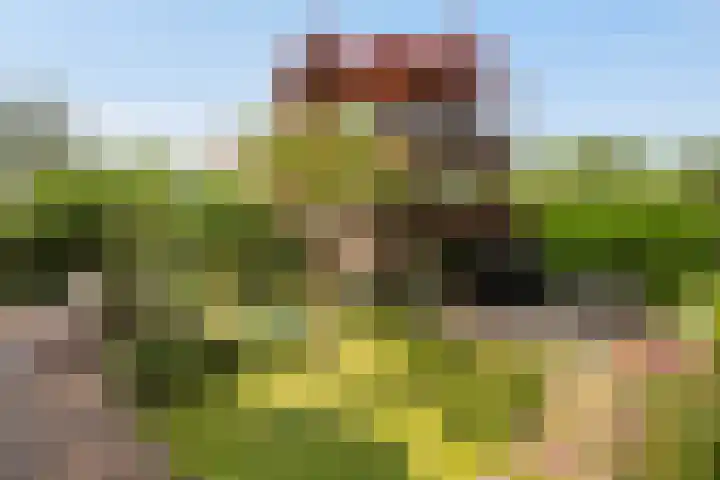 Potmarge 16 Zwolle thumbnail 40