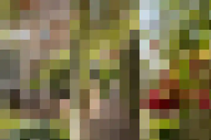 Potmarge 16 Zwolle thumbnail 42