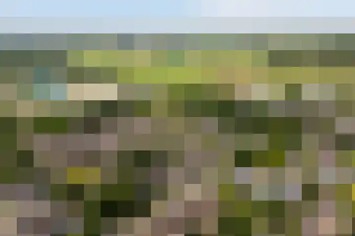 Potmarge 16 Zwolle thumbnail 44