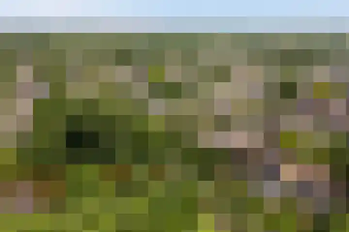 Potmarge 16 Zwolle thumbnail 45