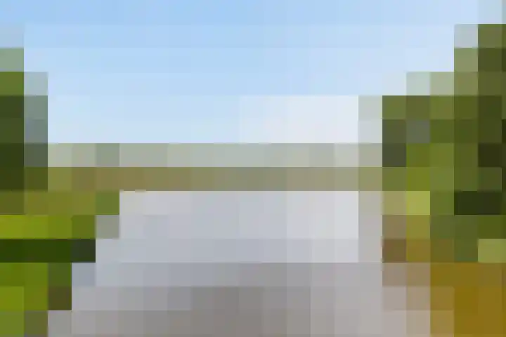 Potmarge 16 Zwolle thumbnail 46