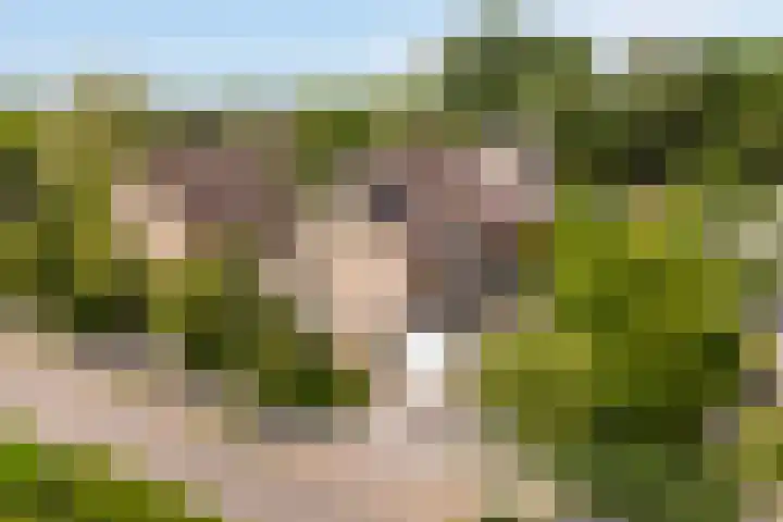 Potmarge 16 Zwolle thumbnail 5