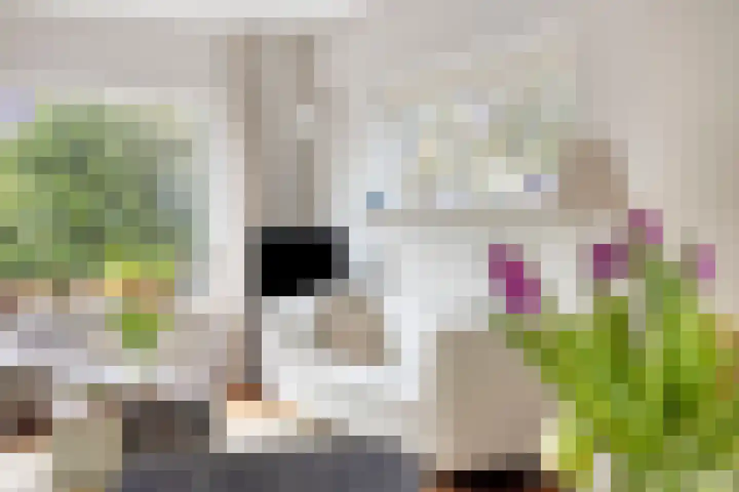 Potmarge 18 Zwolle thumbnail 11